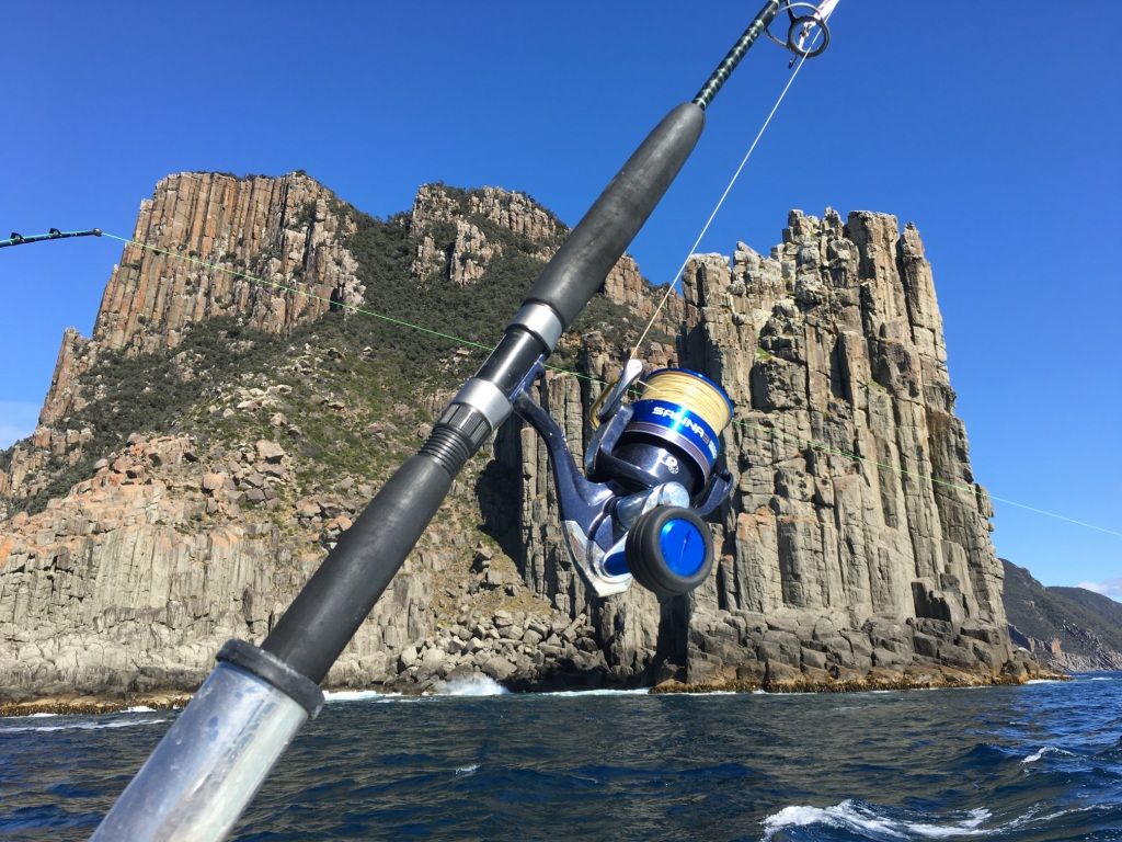 The Tuna season at Eagle Hawk Neck is the best in Decades.