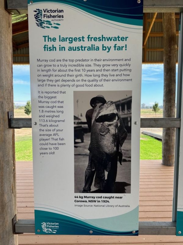 Goulburn River 2024