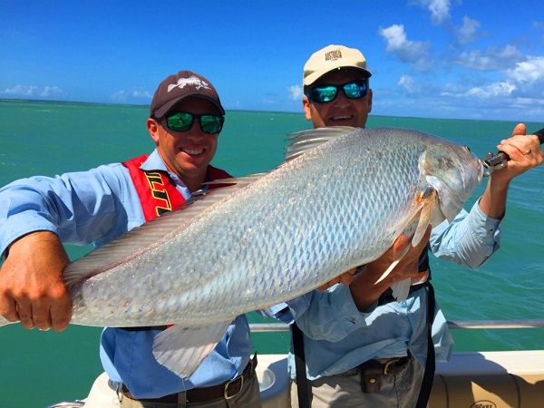 Jewfish are abundant and in protected waters