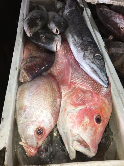 There are larger fish to be caught offshore, as these pictures from Jimbaran Fish Market illustrate