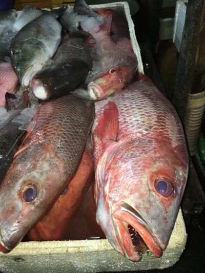 There are larger fish to be caught offshore, as these pictures from Jimbaran Fish Market illustrate