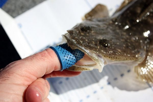 A silicone thimble is great way to protect your thumb from sharp flathead teeth