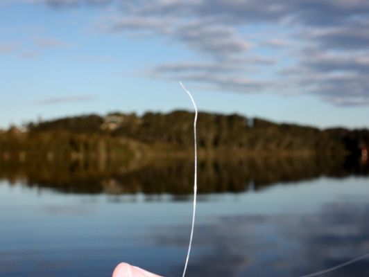 A snapped line and perfect conditions were all I had to show from the encounter