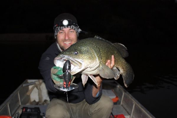 Liam Curtis with a beautifully conditioned cod