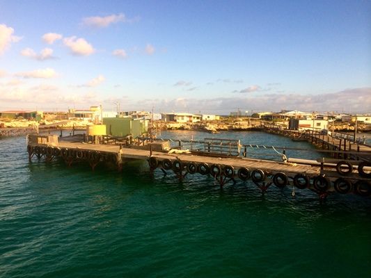 Lobster Settlement Abrolhos Islands