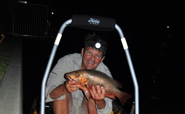 Mangrove Jacks are a prized catch for the more experienced angler