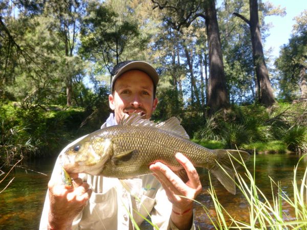 Nearly 50cm of wild river bass