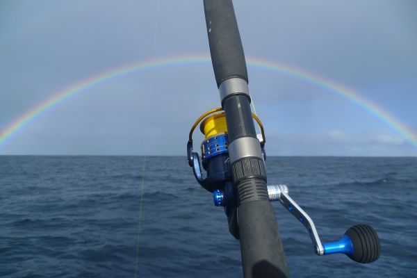 Offshore Flinders Island