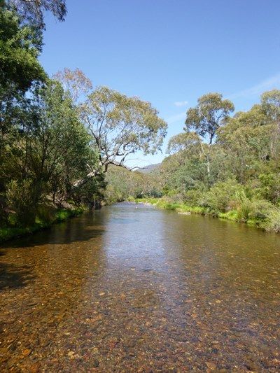 The water level was low which made for easy wading but few fish between the deeper pools