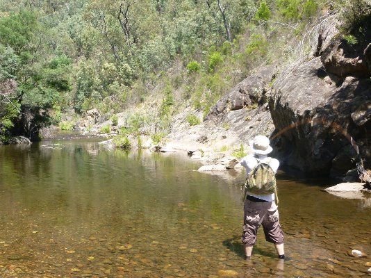 Snakes alive! Back-country rivers heat up in time for holidays