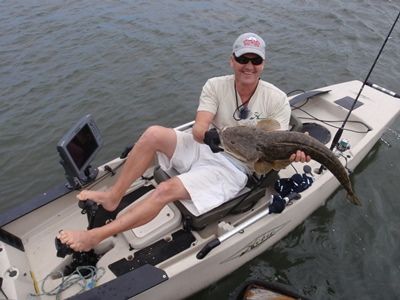 Big Flathead are about in the Clyde River at the moment, as Rob is only to happy to illustrate