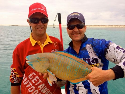 Peter And Rob with Surf Parrot fish