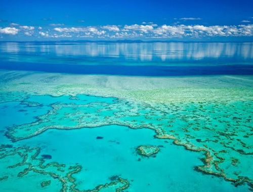 Cairns – Great Barrier Reef - 2022
