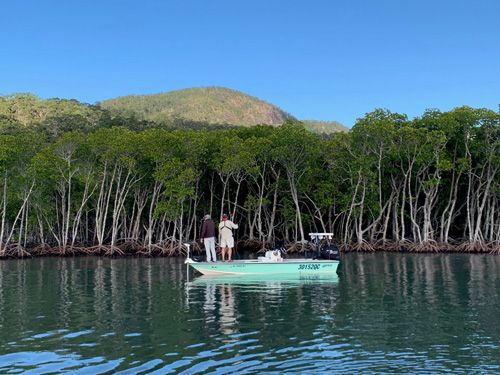 Hinchinbrook Island - 2022