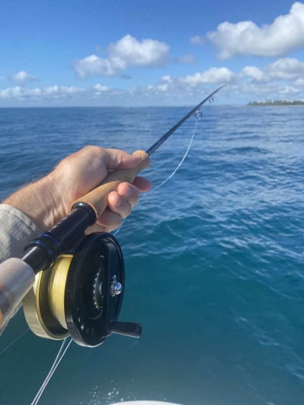 QLD Tuna Fly – Gavin Platts - 2021