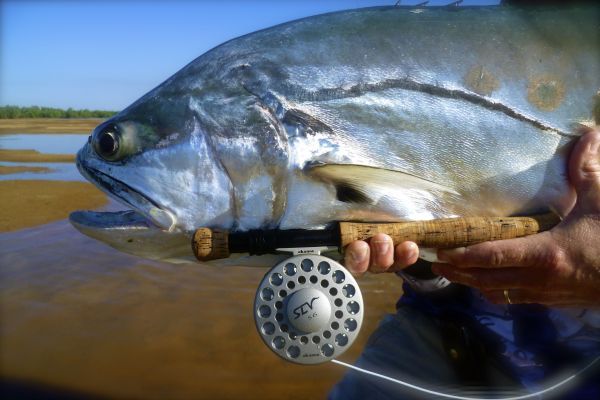 Fly Fishing Tropical Estuaries - 2013