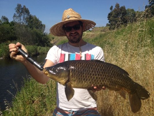 Carp are great fun on light tackle or on the fly rod, as Hamish Webb demonstrates