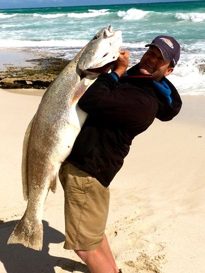 Rob With 50lb Jewfish