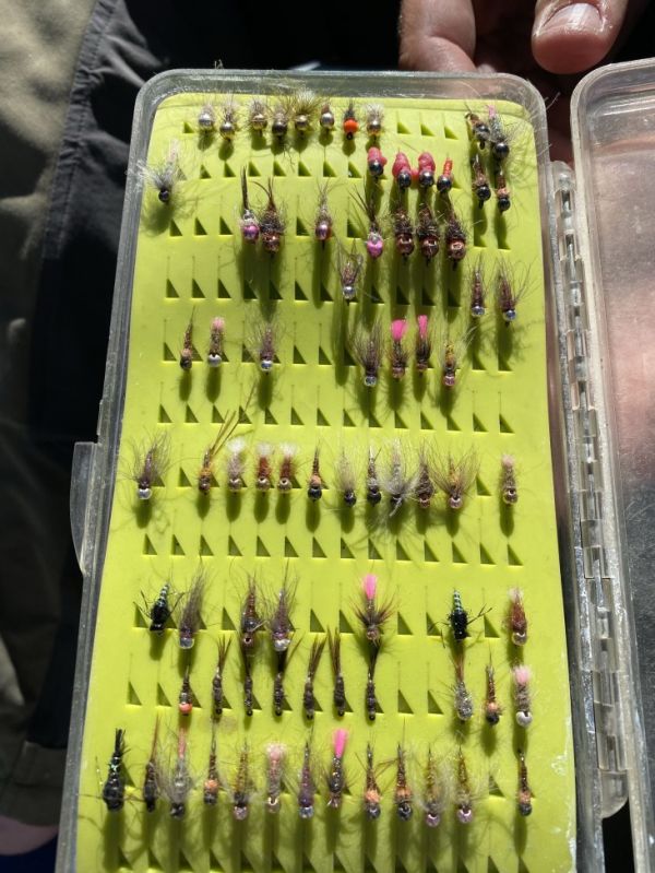 Snowy Valley Trout - 2021
