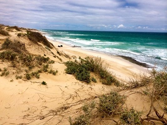 The Great Australian Bight, SA - 2014 - Season Final