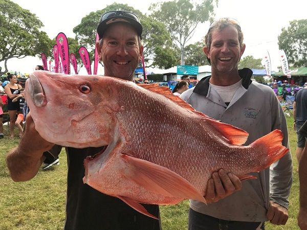 Big Red Emperor are weighed in