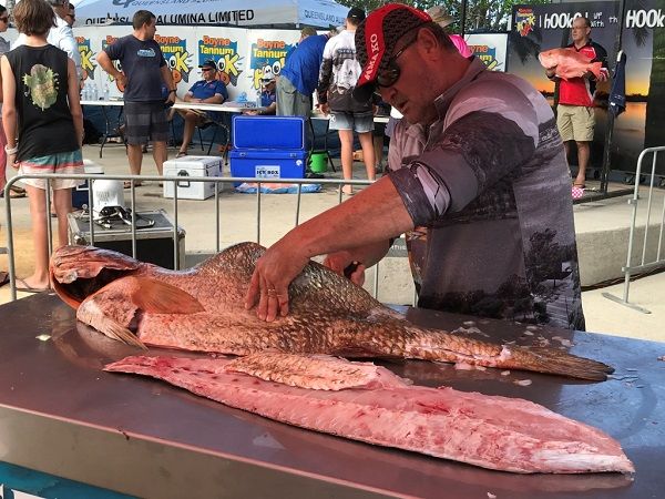 Fish Filleting Demos