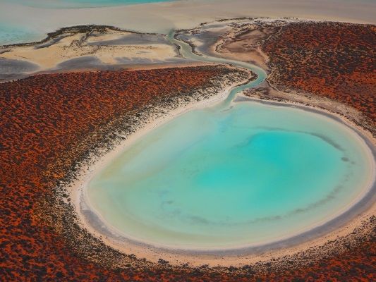 And AMAZING colors like Big Lagoon