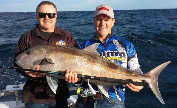 This Sampson Fish ambushed out light tackle at Kangaroo Island