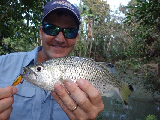 Daintree Jungle Perch opened the series