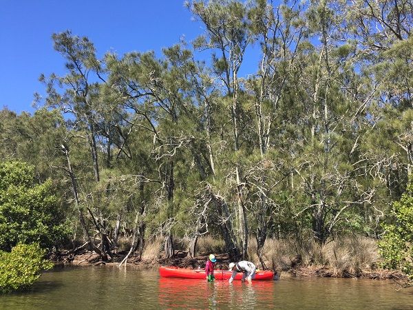 Kayaking will lead you to pristine places