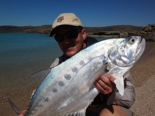 Huge Queenfish were on tap, and Rob rates them as least as much fun as barra