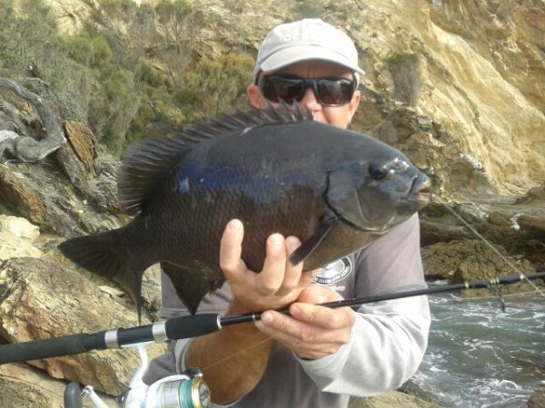 Ray Smith and a nice Pigfish