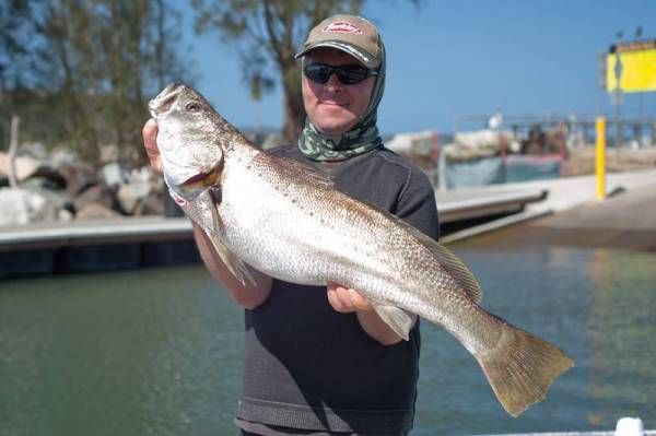 Scott Thorton with a Superb Mulloway caught at Batemans Bay on a vibe lure.