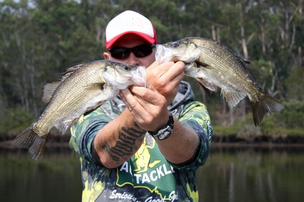 Derek ‘Paffoh’ Steel with a fine brace of Clyde River Estuary Perch