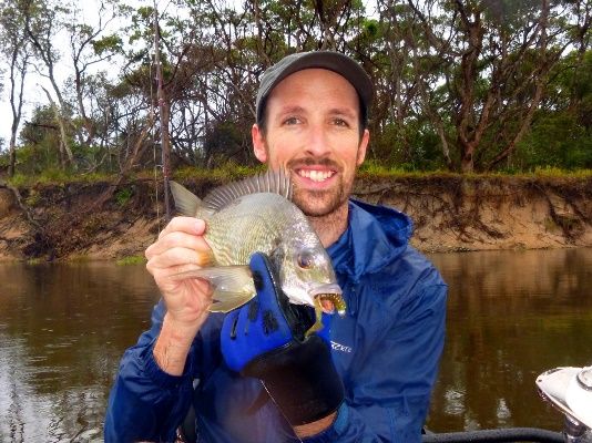 Flooding rain brings crocodiles to the surface and sends bream down deep