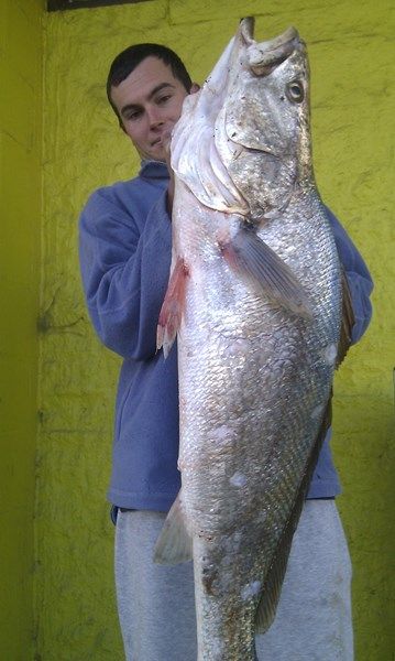 Coen Davis with a soild jewfish from the Clyde River