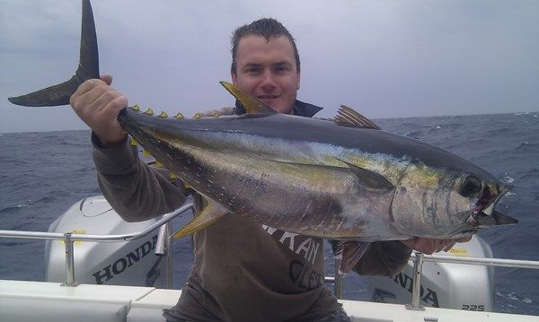 A nice yellowfin caught on Top Cat Charters