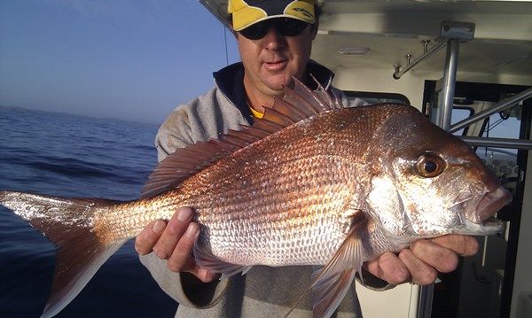 Anthony Stokman reports school sized snapper off Batemans Bay