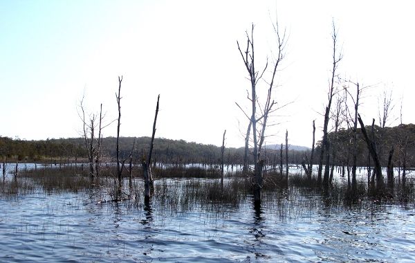 Flooded estuary terrain