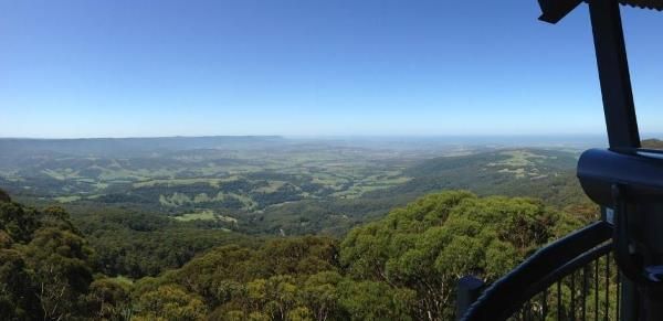 NSW Southern Highlands produce trout up high and bass down low